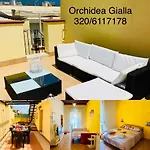 Orchidea Gialla Appartamento Gaeta