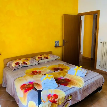 Orchidea Gialla Gaeta