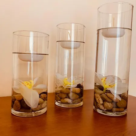 Orchidea Gialla Apartment Gaeta