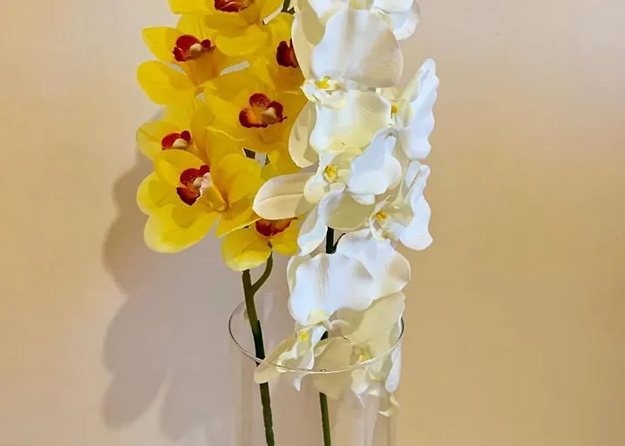 公寓 Orchidea Gialla 加埃塔