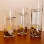 Orchidea Gialla アパート ガエータ