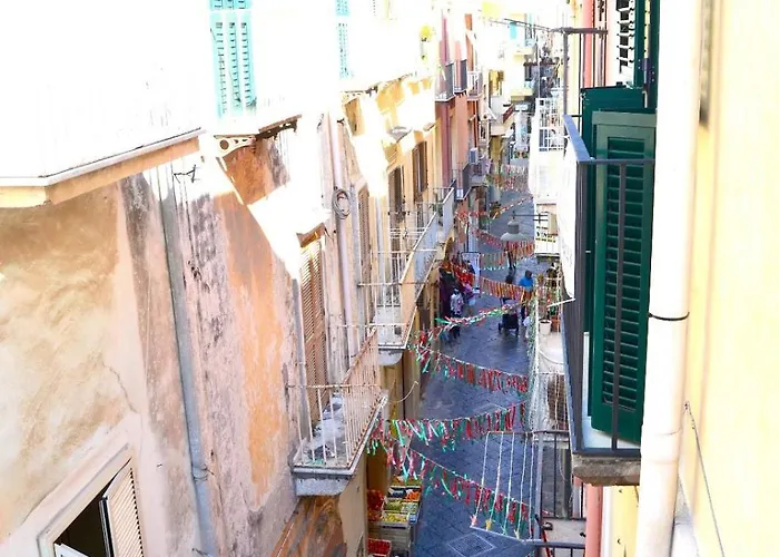 Orchidea Gialla Geata