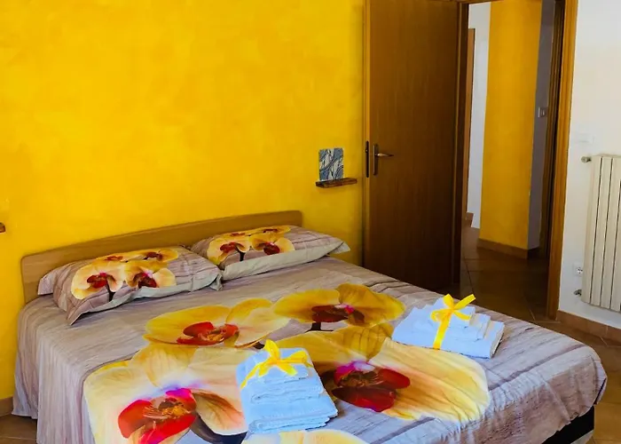 Orchidea Gialla Geata