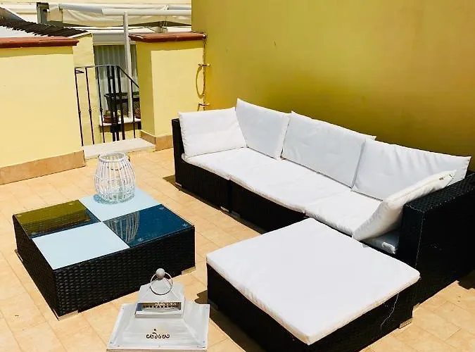 Orchidea Gialla Geata